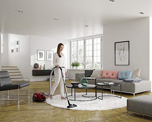 Electrolux EPF6ANIMAL Aspirateur 3,5 L Aspirateur réservoir cylindrique Sec 800 W Sac à poussière - Image 4