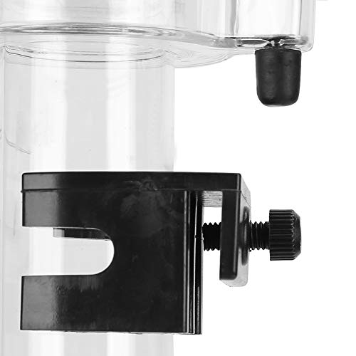 Pissente Écumoire de protéines, filtre d'aquarium, accessoires de culture de poissons, séparateur d'écumoire de protéines en acrylique avec filtre d'aquarium IQ5, accessoire pour l'élevage de poissons