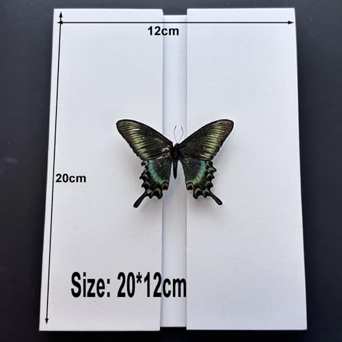 Image of 3 Pcs Insect Mounting & Spreading Kit - Adjustable EVA Foam Boards, Reversible Posing Tools for Butterflies & Insect Collections, Wide Spacing Design, Perfect for Bug Collectors to Preserve Specimens