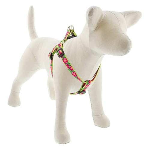 Lupine Step in Dog Harness 3/4" Wide Petunias with 15-21" Girth