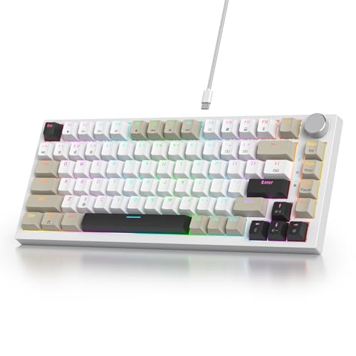 Clavier de jeu mécanique haut de gamme 82 touches avec structure Gasket et boutons multimédia