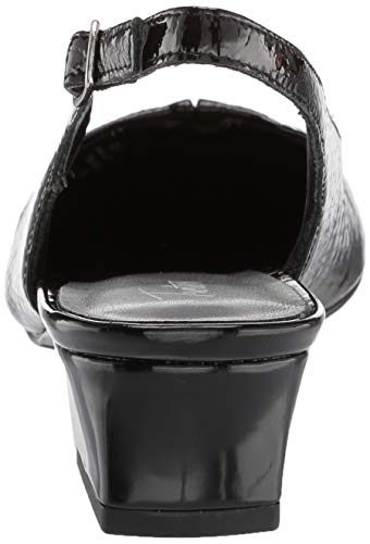 Image of Trotters