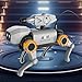Genérico Cachorro Robot Imagen de Genérico Cachorro Robot