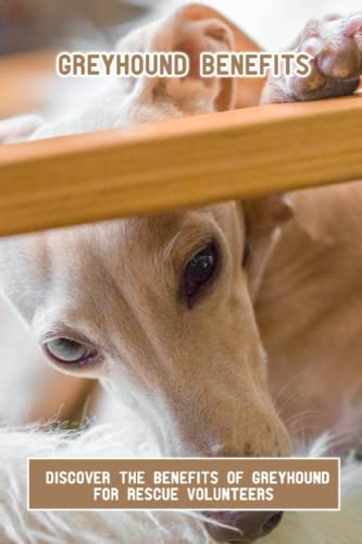 Greyhound Benefits: Discover The Benefits Of Greyhound For Rescue Volunteers