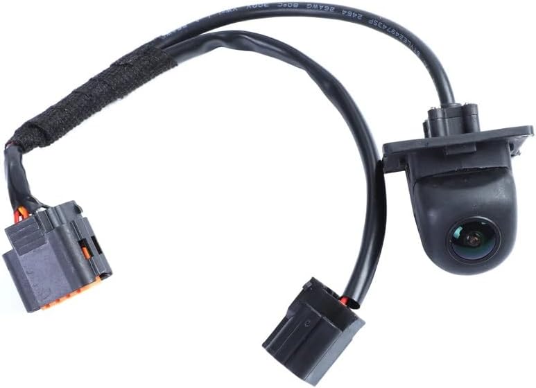 がむ様 専用 haruさま専用】そのまんまガム 38箱セット