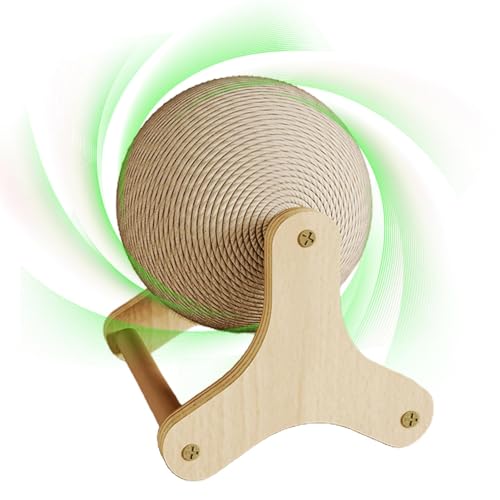 L̒܂Ƃ{[AVRTCU̔L̒܂Ƃ{[, Lp̊~߃ObY, C^NeBuAETM̃XNb`{[AL̉^p̔L̉^zC[