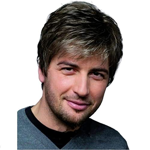 AIYLMZ Short Black Straight Synthetic Side Part Wigs for Men with Bangs Hair Toupee for Middle Aged Man Natural Stylish Fluffy Layered Wigs Men's Hairpieces (Black)