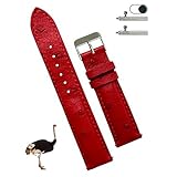 [vinacreations] 20mm レッド オーストリッチ革腕時計ベルト クイックリリースバネ棒 ダチョウ革本革交換用時計バンド 腕首シルバーバックル付き手作りメンズ DH-190S-20MM
