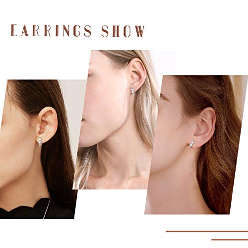 ChicSilver Hypoallergenic 925 Sterling Silver Cute Animal Earrings for Women Lovely Cat/Hedgehog/Turtle Stud Earrings for Sensitive Ears(with Gift Box)2