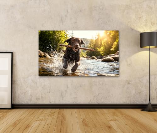 Toile labrador joyeux vivant art mural décoration salon Edition R2 - 2