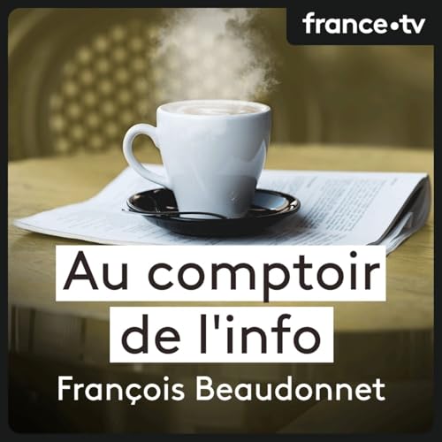 Julien Pain, pr&eacute;sentateur de "Vrai ou Fake" sur France Info canal 27