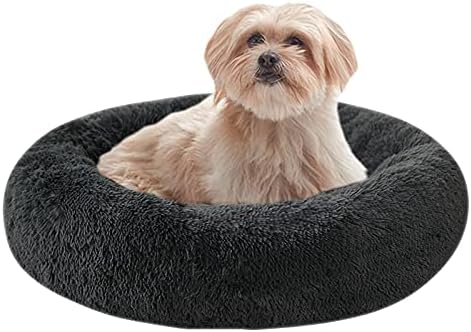 tortoise hay bedding