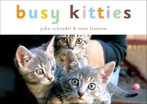 Busy Kitties (A Busy Book)