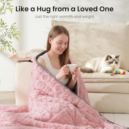 Image of Drewin Queen Size 15lbs Weighted Blanket for Adults, Soft Cozy Turtleback Sherpa Weighted Blankets for Sleeping and Calming, Thick Bed Blanket for Couch Bed, 48 x 72 inches, Pink and Grey