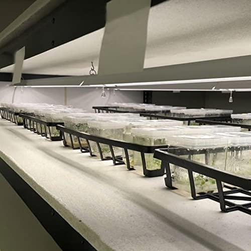 Active Grow Integrated Dual T8 4Ft Led Grow Light - For Indoor Plants, Microgreens, Veg & Bloom - 38W T8/T12 Led Grow Light - Sun White Full Spectrum High Cri 95 - Linkable - 120-277V #TOP3