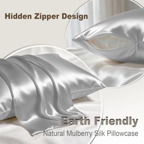 Image of LYSHIN Silk Pillow Cases 2 Pack Queen Size with Zipper, Silver Grey | 19 Momme Mulberry Silk Pillowcase for Skin and Hair, Anti-Acne, Hypoallergenic, Cooling, Beauty Sleep, Gifts for Women
