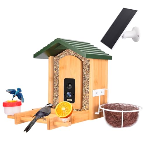 Bird Feeder with Camera