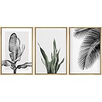 SIGNWIN Framed Canvas Print Wall Art Trio of Jungle Palms & Snake Succulents Floral Plants Photography Modern Art Minimalist Black and White for Living Room, Bedroom, Office - 16