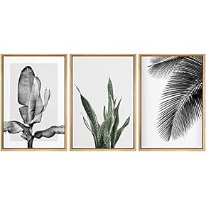 SIGNWIN Framed Canvas Print Wall Art Trio of...