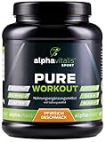 PURE INTRA WORKOUT Shake - Cluster Dextrin + EAA + BCAA + Mineralien - 800g Pulver hochverzweigtes zyklisches Dextrin und freie Aminosäuren - Eistee Pfirsich