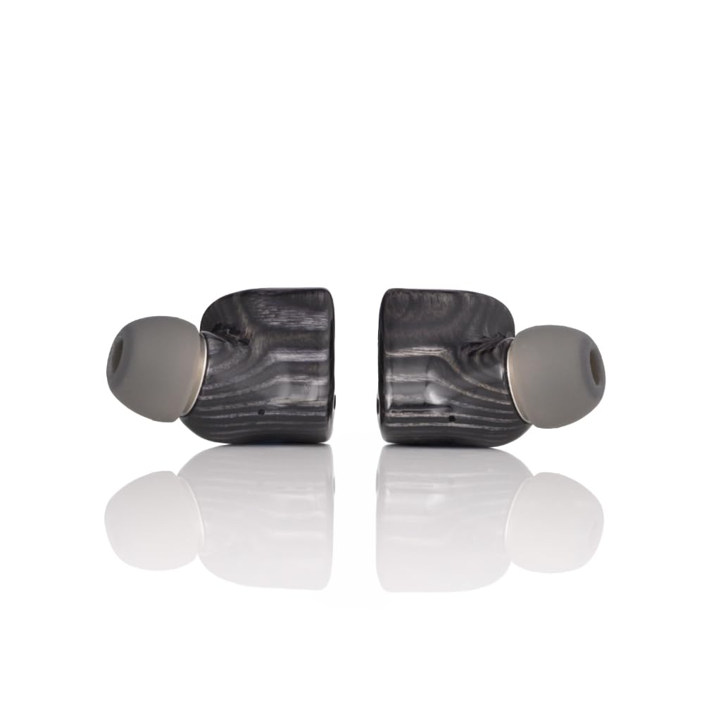 Amazon.co.jp: 【VGP2026 SUMMER金賞】Noble Audio FoKus Prestige