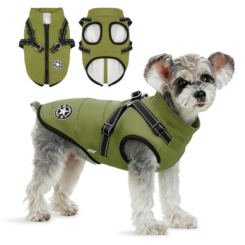 Anzentakai  ~y2025N~̓ozy ȕR[g n[lXt wJ   Ԕ g ybg L   ~ EȒP N ̕ xXg h h  WPbg [hO ^ ^ ^