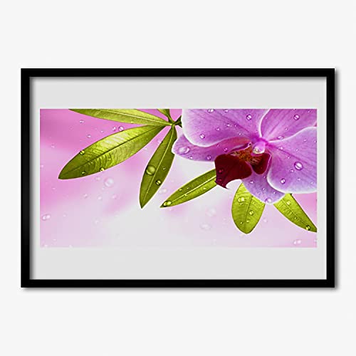 Photo image plante de feuilles de fleurs avec affiche encadrée 70x50 cm pour habiller un mur vide