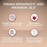 Purina One Mini/Small Active Karma dla Psa, Wołowina I Ryż, 8x800 g