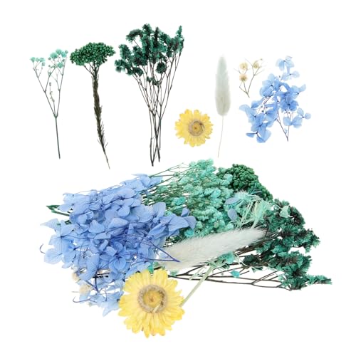 Flores prensadas naturales para manualidades 1 pack miniatura 1