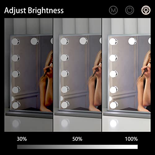 Anyhi Vanity Mirror With Lights,Hollywood Lighted Makeup Mirror With Detachable 10X Magnification,3 Color Modes,Touch Control For Dressing Room&Bedroom,Tabletop Or Wall-Mounted Mirror,20"X 16" Sliver #TOP4