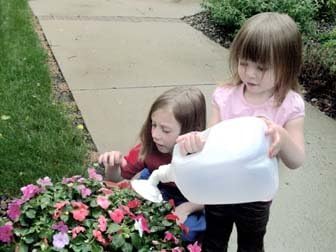 Gadjit Sprinkle Spout Daisy-Shaped Sprinkler Head - Snaps onto Most Plastic Gallon and Half-Gallon Jugs, Turning Them into Watering Cans (White & Yellow)