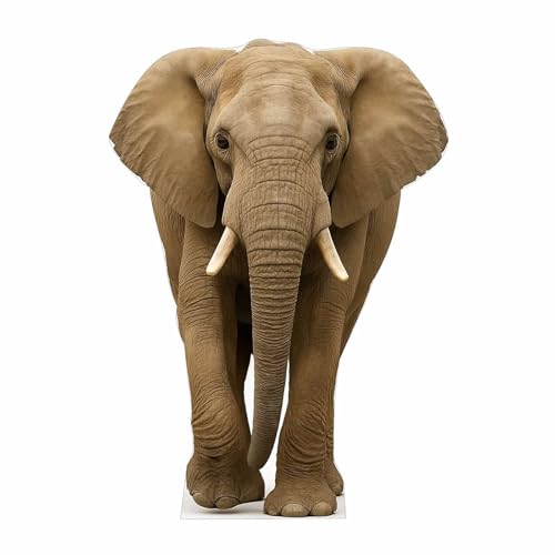 Image of Elephant 2FT Life Size Cardboard Cutout - A Fun Animal Standup for Photo Booths, Birthday Parties, and Events