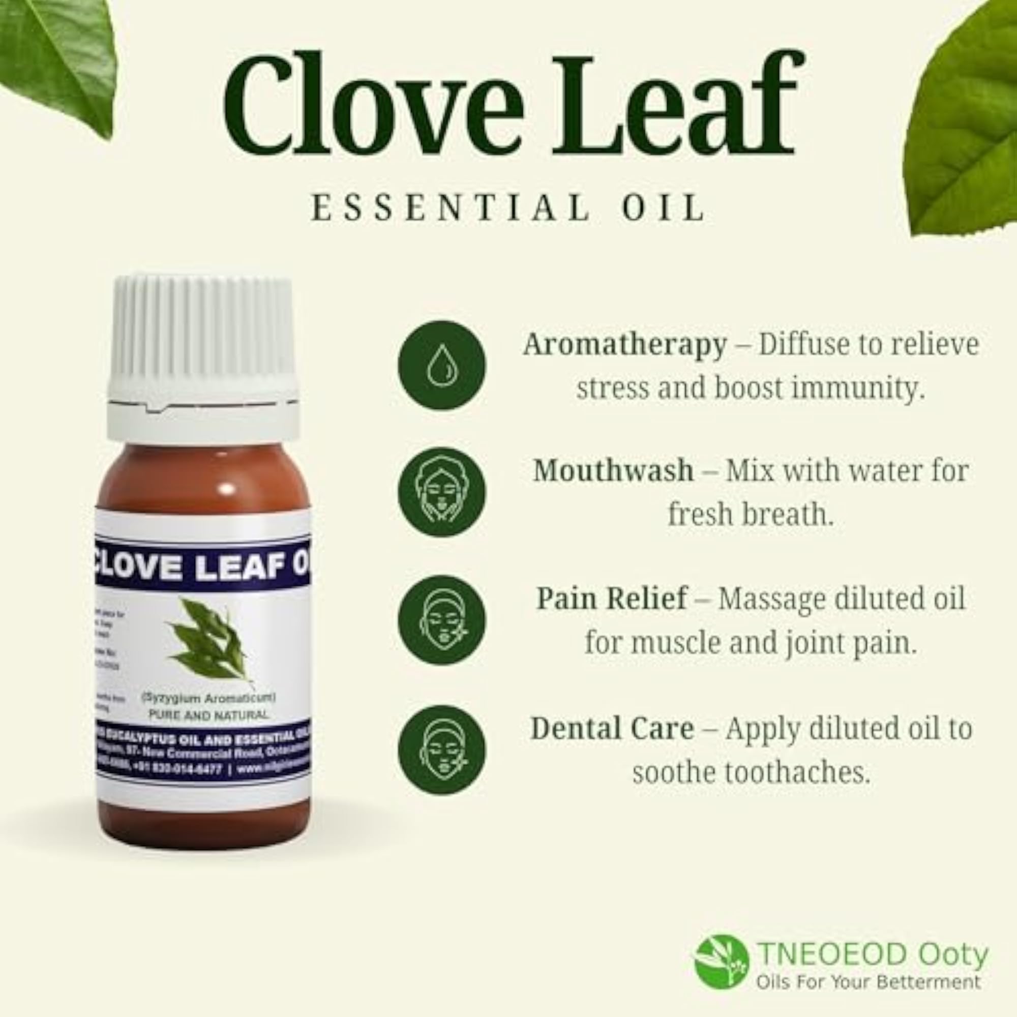 TNEOEOD Ooty Clove Essential Oil, 30ml