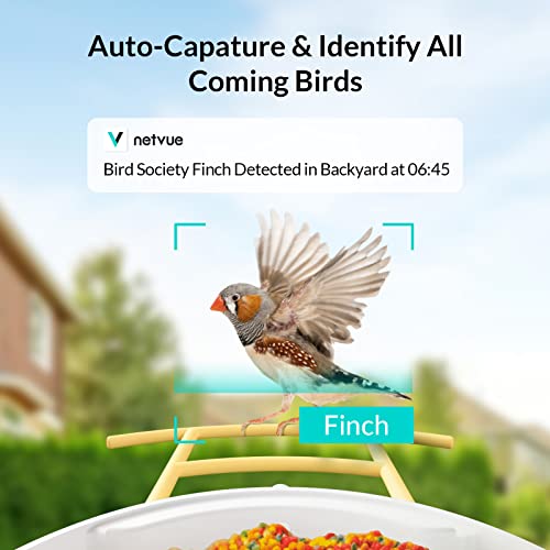 Netvue Birdfy Ai + Solar Panel + Pro Perch - Bird Feeder With Camera, Smart Bird Watching Camera Auto Capture Birds & Notify You, Ai Identify Bird Species, Bird House With Camera Wifi Wireless #TOP1