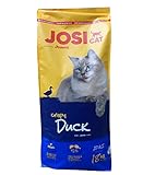 JosiCat