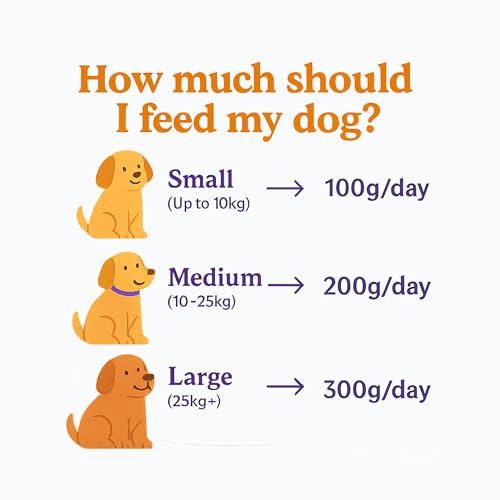 Image of Wet Dog Food - Chicken and Brown Rice Gravy Meal for Pets - Dog Food Adult and Puppy - Real Chicken, High Protein, Fresh Ingredients - Ready to eat Meal - 100g x 3