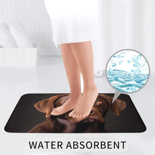 Tapis de salle de bain antidérapants lot de 3 sécurité labrador