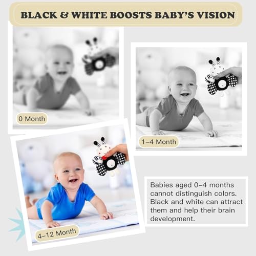 Image of Hanging Baby Toys Hanging Rattle Toys for Baby 3 6 9 to 12 Months Crib Car Seats Stroller Toys Plush Animal Squeaky Sensory Toys for Newborn, Dog, Rabbit, Bee, Owl (Pack of 4)