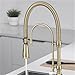 Pull Out Kitchen Faucet Kitchen Sink Mixer Tap Total Brass Vanity Water Tap Faucet(Brushed Gold)