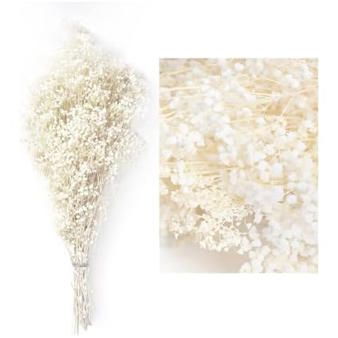 MIHUAGE Baby’s Breath Dried Flowers Bundles Gypsophila Real White Natural Flower 17” 3oz for Wedding DIY Arrangements Home Decorations Cover