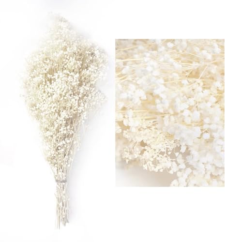 MIHUAGE Baby&rsquo;s Breath Dried Flowers Bundles Gypsophila Real White Natural Flower 17&rdquo; 3oz for...