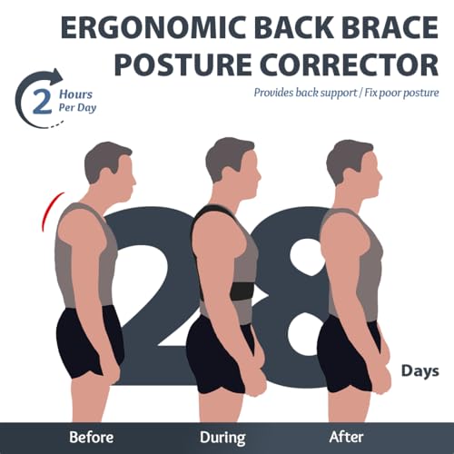 Image of HealthSense Medical-Grade Posture Corrector Belt for Men | Premium Back Support Belt for Back Pain Relief & Shoulder Alignment | Ergonomic Adjustable & Breathable Design with Anti-Tightening Comfort & Double Y Structure | PC-860 (Large)