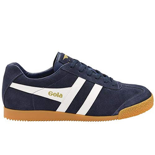 Image of Gola Harrier