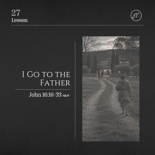 I Go to the Father: The Book of John Series | John 16:16-33