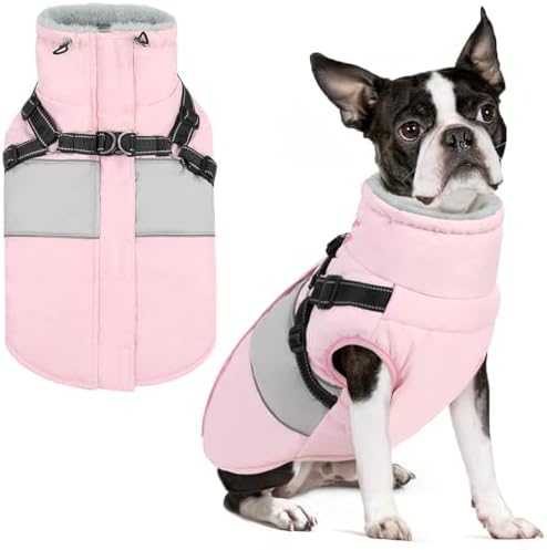 SUNFURA Small Dog Coat with Harness Built in — shown in a real home setting for scale