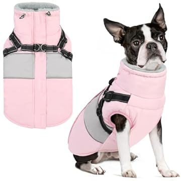 best jacket for boston winter