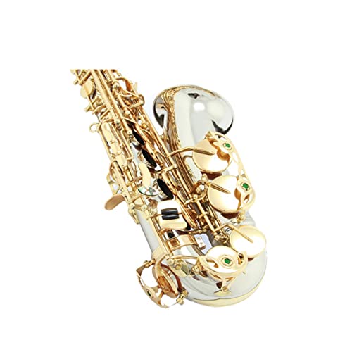TSTS E-Flat Alto Saxophone Cupronickel^JTbNX tLbg