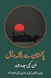 daelim vjf 250  Pakistan se Bangladesh, Unkahi jad-o-Juhd (Urdu Edition)
