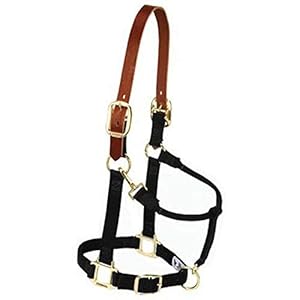 Weaver Equine Breakaway Horse Halter, Supple Leather Crown, Adjustable Brass Throat Snap Halters for Horses, Equine Tack,Large Size, Black
