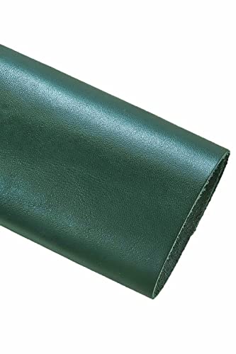 LA GARZARARA Pieza de piel precortada de borla de color liso, color verde, botella, 25 x 20 cm, ASL30 Cover